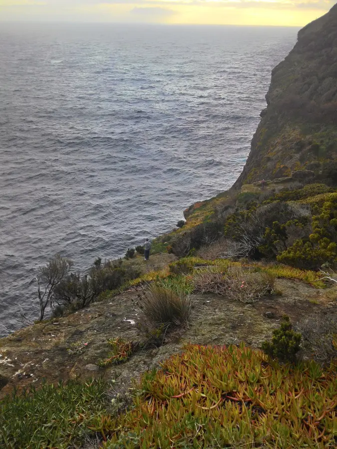 Terceira Mar Hotel - Accommodation in Terceira, Azores