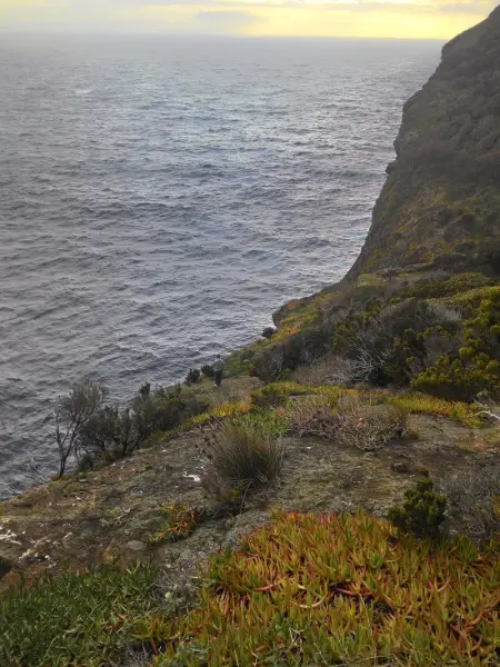 Terceira Mar Hotel - Accommodation in Terceira, Azores