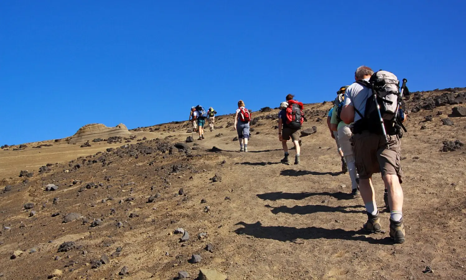 Trilho dos 10 Vulcoes - Trilhos em Faial, Açores
