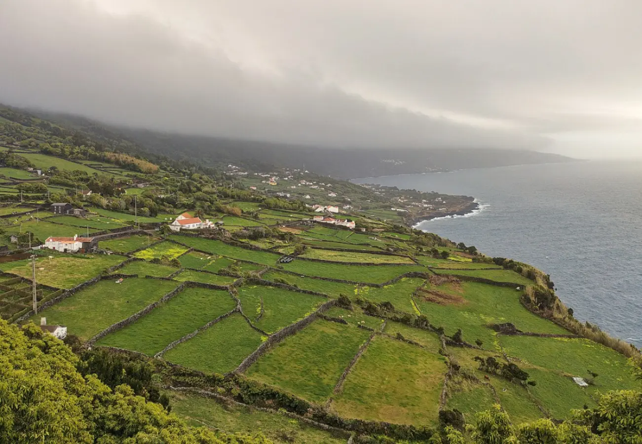 Ancoradouro Restaurant - Restaurants in Pico, Azores