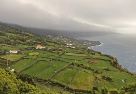 Ancoradouro Restaurant