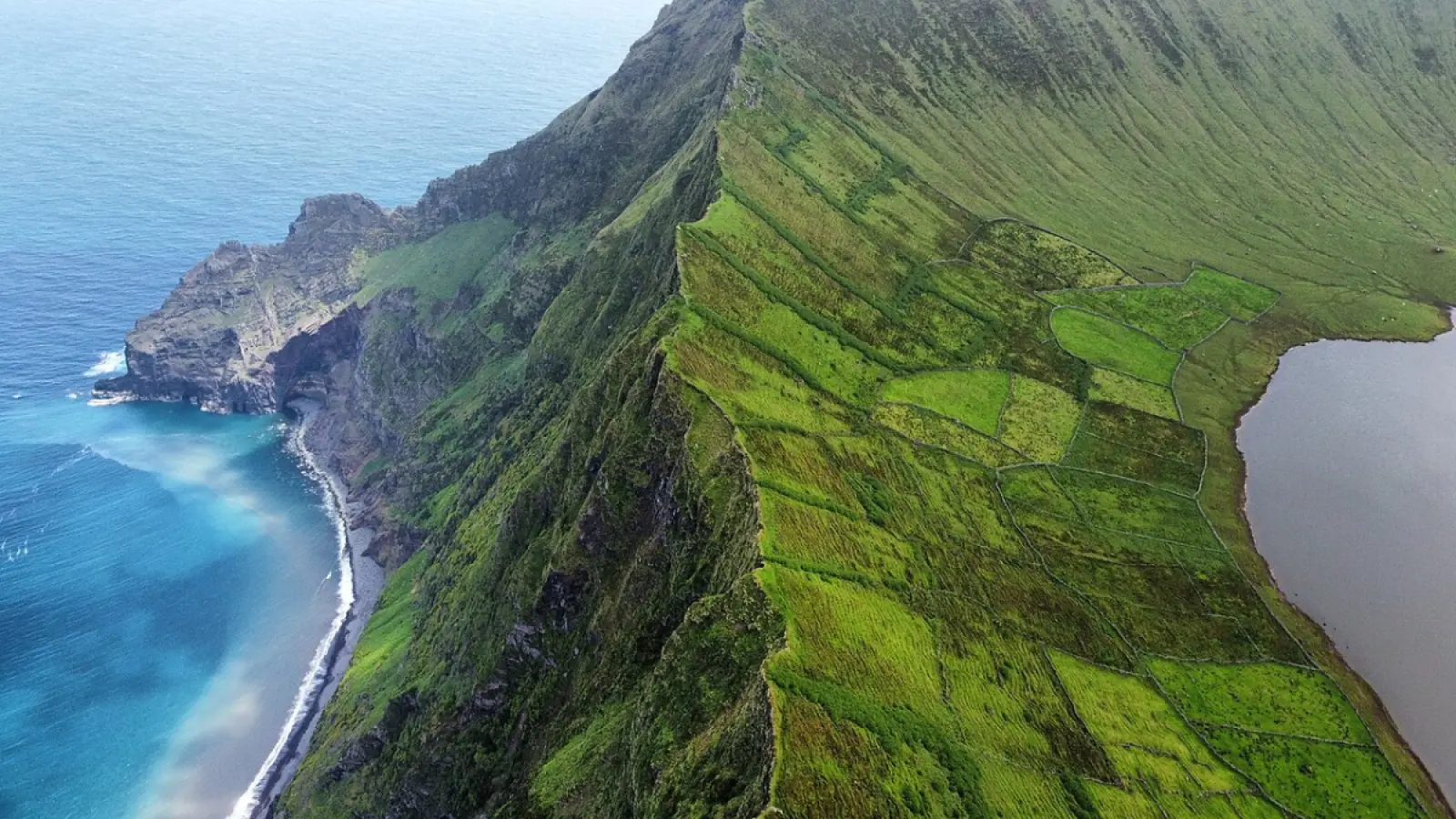Traineira Restaurant - Restaurants in Corvo, Azores