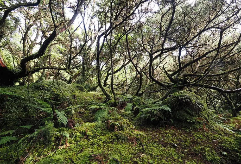 The 10 Best Azores Hiking Trails for 2026 - 1