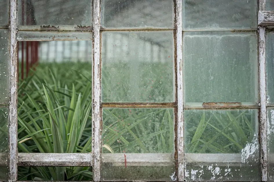 Azorean Cuisine Guide: Flavors You Can't Miss - 2