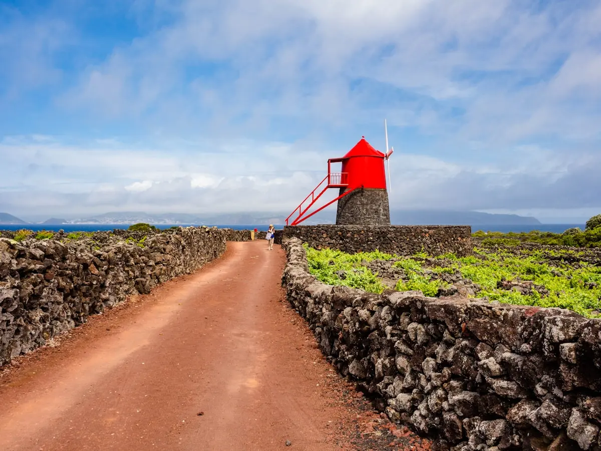 Vineyard Culture Landscape - UNESCO - Monuments in Pico, Azores
