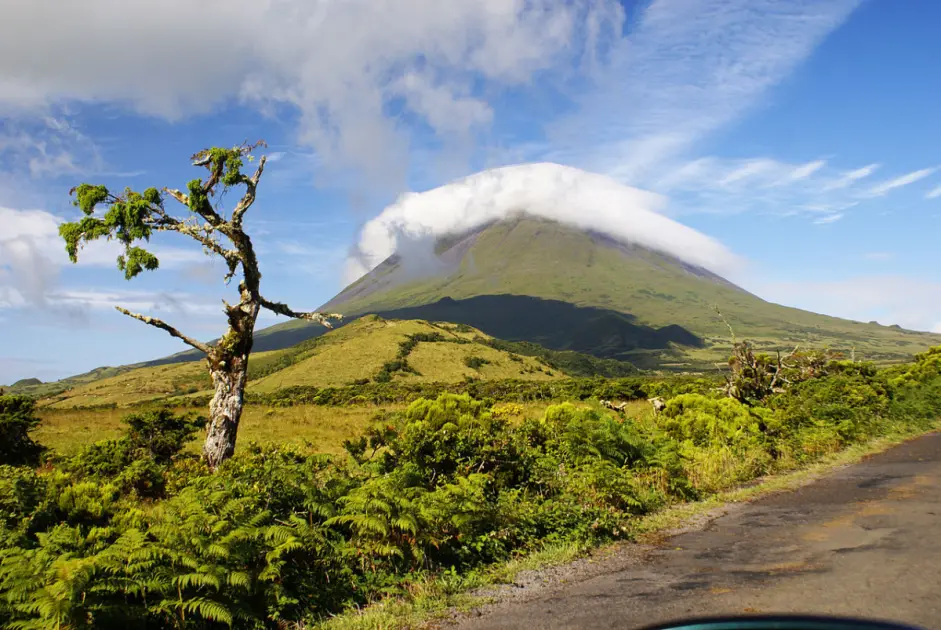 Pico Island: UNESCO Vineyards, Wine, and Volcano