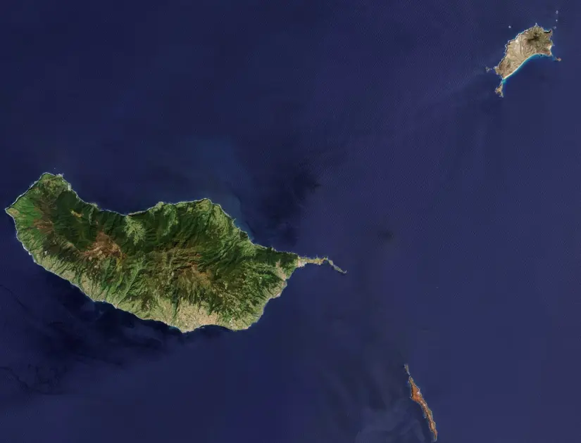 Azores Endemic Flora Guide: Hydrangeas, Laurel Forest, Macaronesian Heath & Azores Juniper - 1