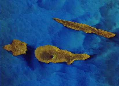 Azores Marine Wildlife: Dolphins, Sea Turtles, Manta Rays & Whale Sharks
