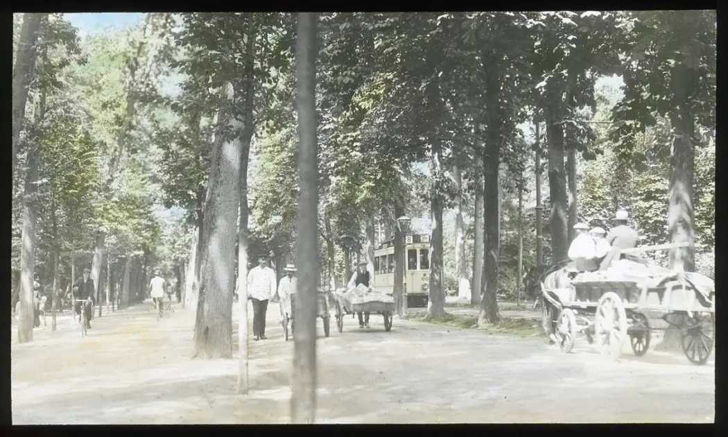 Azores Car Rental Guide: Best Companies, Prices & Driving Tips - 1