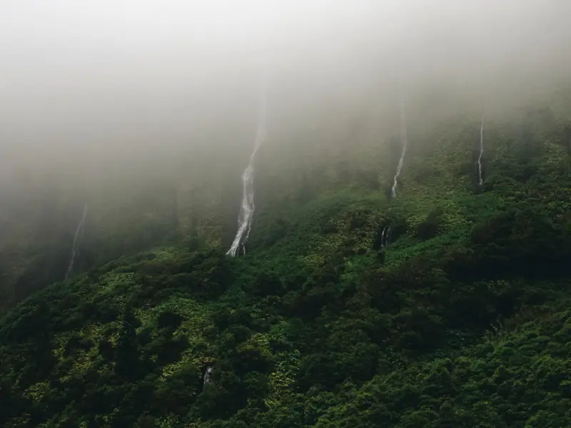 Poco do Bacalhau Waterfall - Viewpoints in Flores, Azores