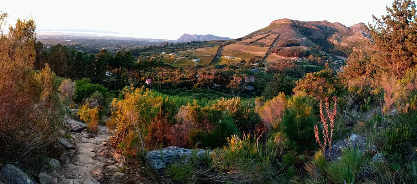 Azores Trail Running: Best Events, Routes & Race Calendar 2026