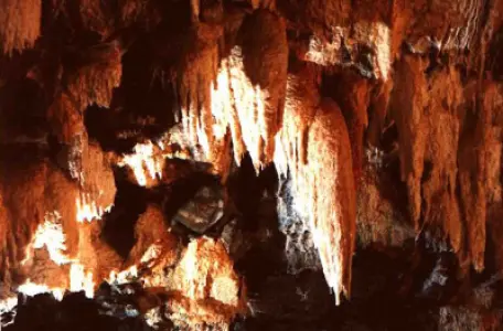 Azores Volcanic Caves Guide: Algar do Carvão & Gruta do Natal on Terceira