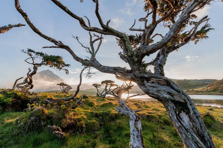 Romantic Azores: Complete Guide for Couples and Honeymoons in the Archipelago
