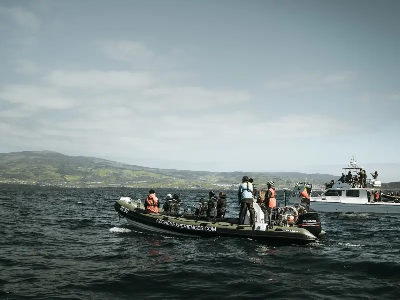 Whale Watching - Pico