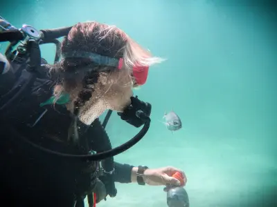 Diving in Santa Maria