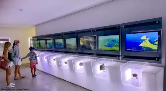 Capelinhos Volcano Interpretation Centre