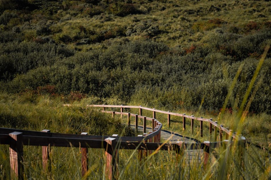 Attractions et visites accessibles