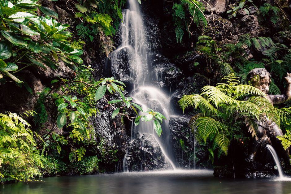 Nature and Landscape