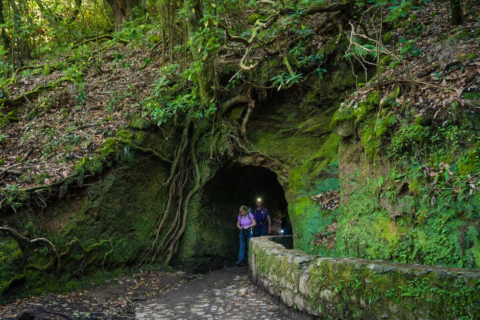 Active Tourism and Adventure