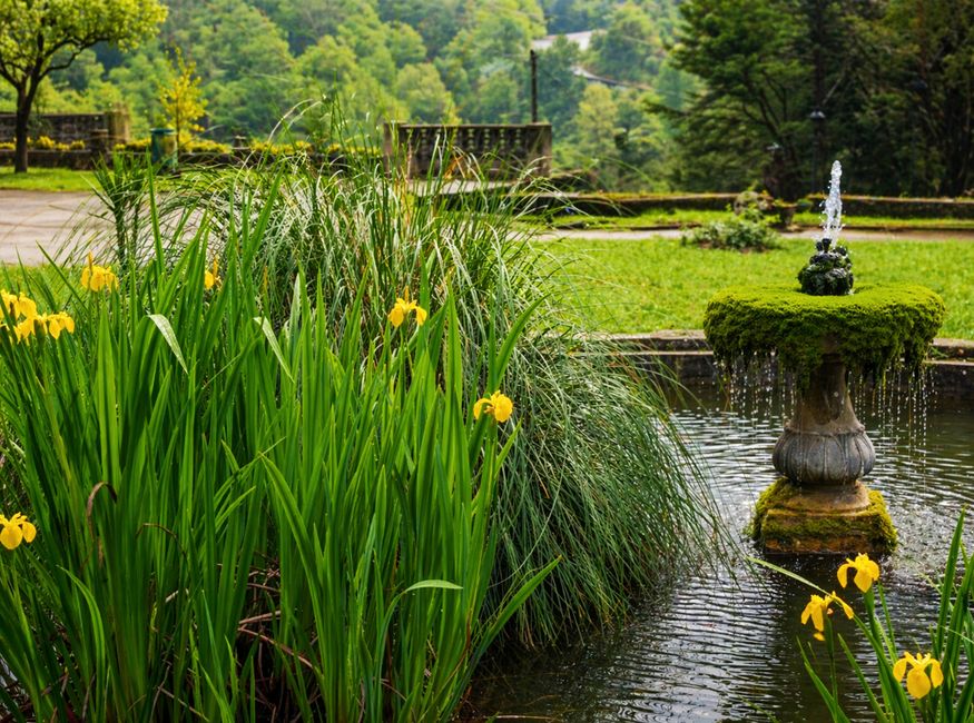 Terra Nostra Garden Hotel: ikonický spa hotel Azor