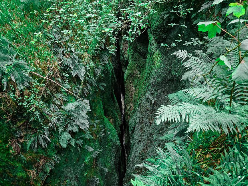 Algar do Carvão : la grotte de lave la plus impressionnante des Açores