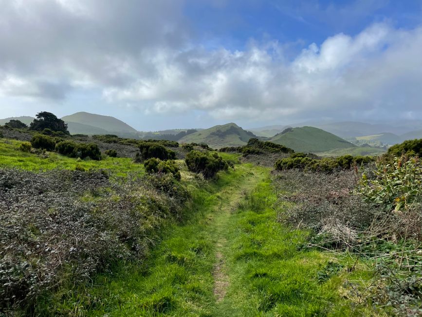 Pico Alto et sentiers