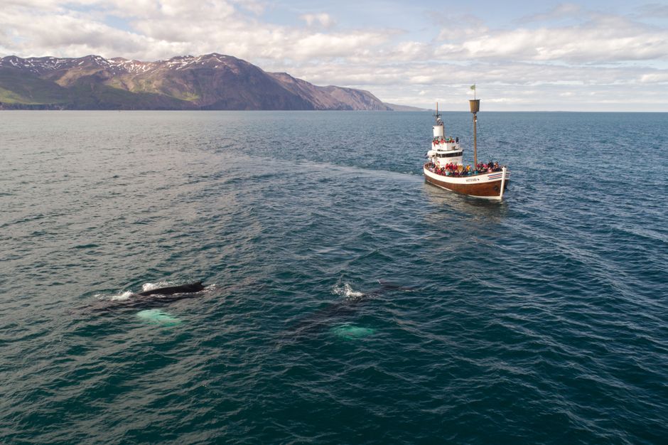 RIB or Larger Boat?