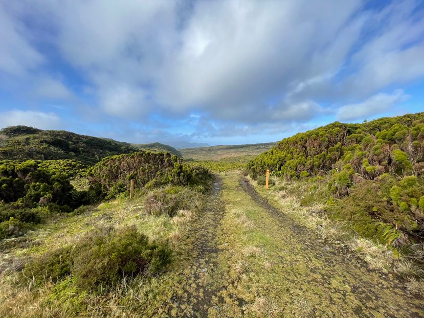 Hiking: The Island of Walkers