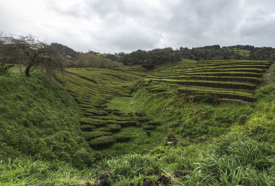 Ribeira Grande and the North Coast